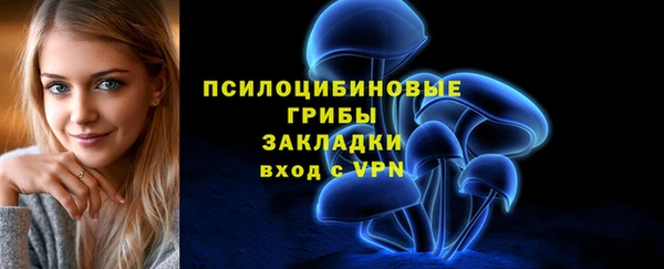 мескалин Гусь-Хрустальный