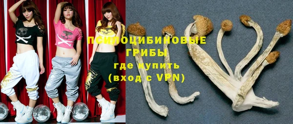 стафф Гусиноозёрск