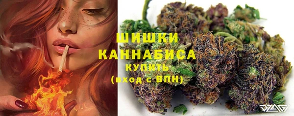 стафф Гусиноозёрск