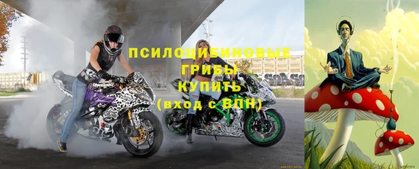 мескалин Гусь-Хрустальный